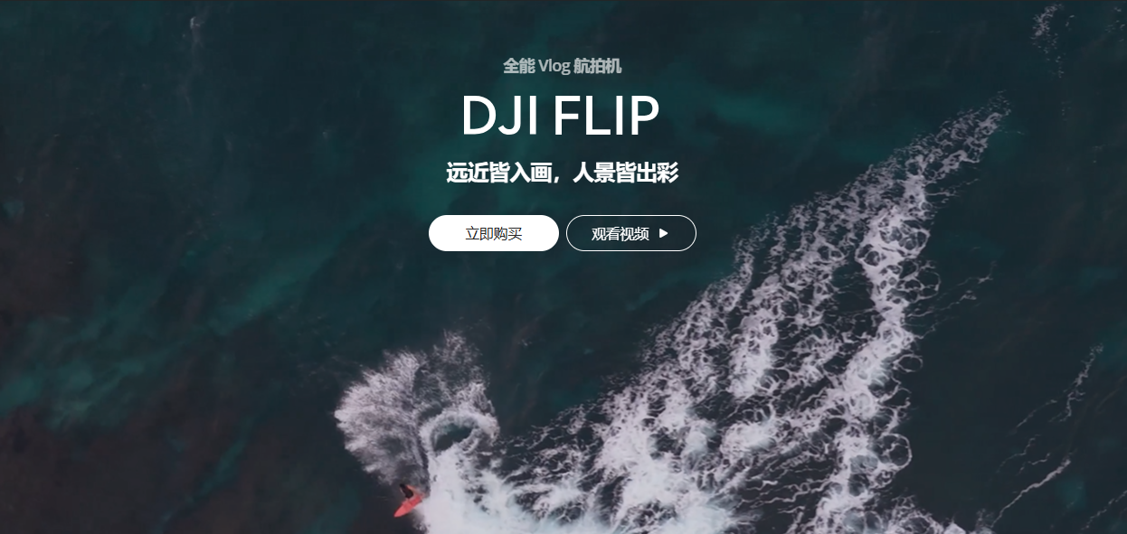 【新品】DJI Flip